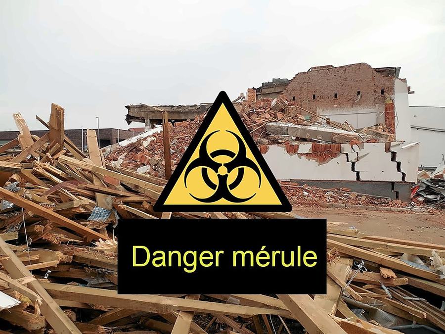 Poutres en bois démolies en tas devant un bâtiment éventré, avec le panneau « Danger mérule ».