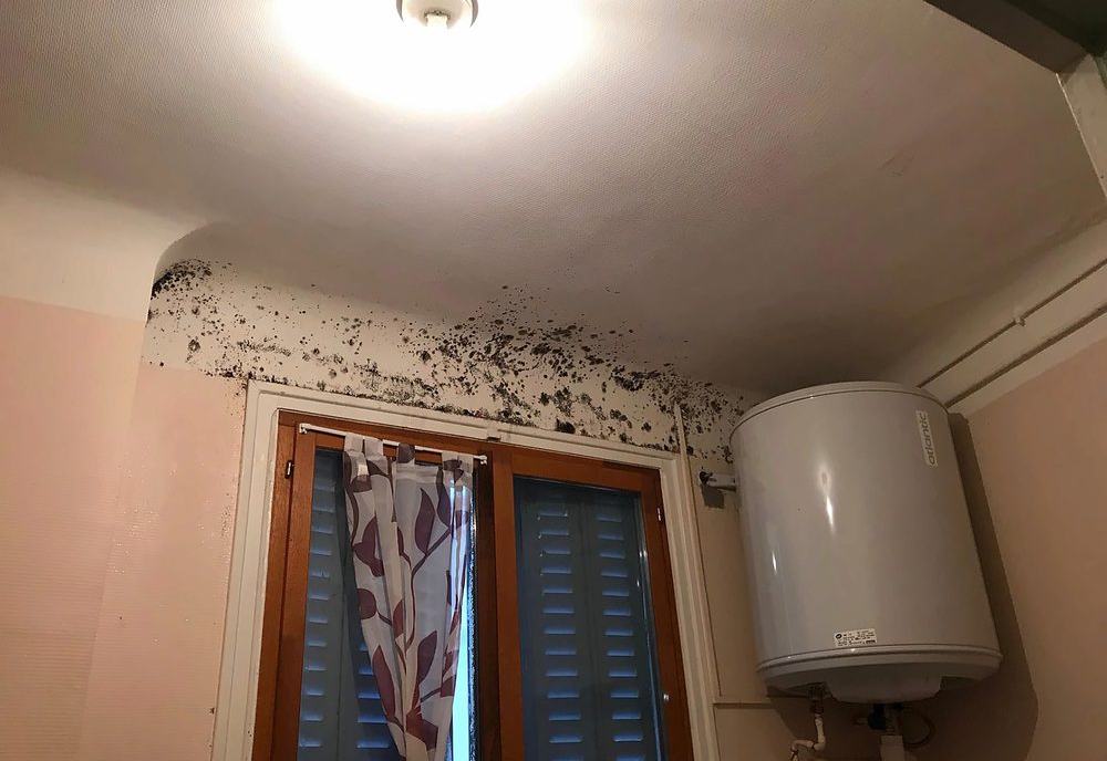 Moisissures noires au plafond et autour d'une fenêtre dans une pièce humide