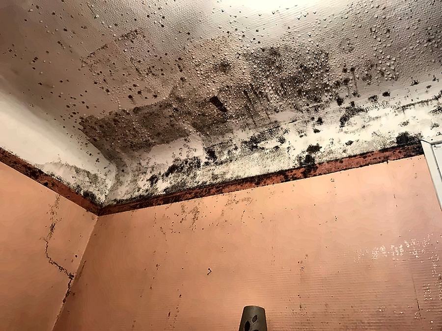 Plafond et haut de mur d'une pièce couverts de moisissures dues à la condensation.